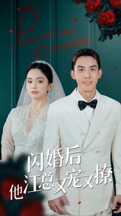 《闪婚后江总他又宠》