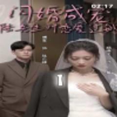 《闪婚成宠，陆先生对恋爱过敏》