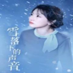 《雪落下的声音》