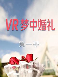 《VR梦中婚礼第一季》