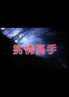 《挑情高手》