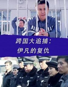 《跨国大追捕：伊凡的复仇》