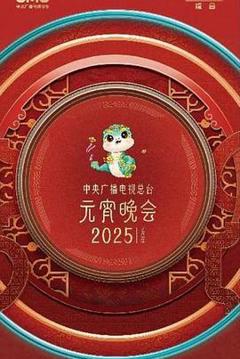 《中央广播电视总台2025年元宵晚会》