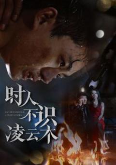 《时人不识凌云木》