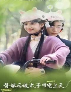 《替嫁后被太子爷宠上天》
