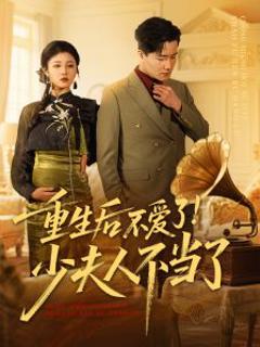 《重生后不爱了少夫人不当了》