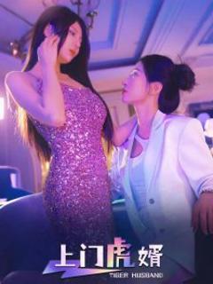 《上门虎婿》