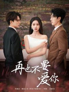 《再也不要爱你》