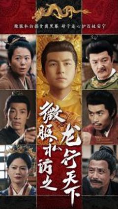《微服私访之龙行天下》
