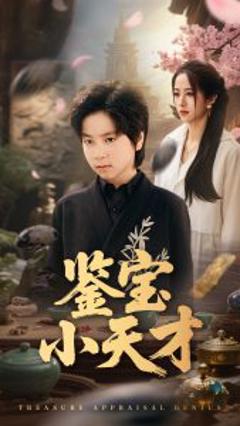 《鉴宝小天才》