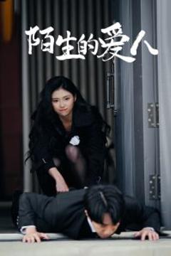 《陌生的爱人》
