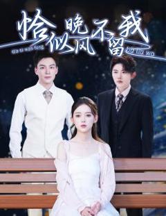 《恰似晚风不留我＆弃他如风》