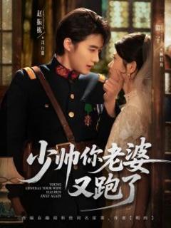 《少帅你老婆又跑了》