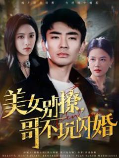 《美女别撩，哥不玩闪婚》