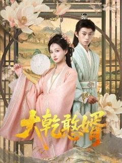 《大乾憨婿》