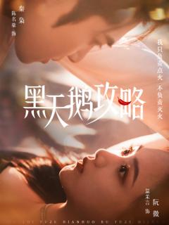 《黑天鹅攻略》