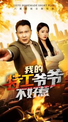 《我的特工爷爷不好惹》