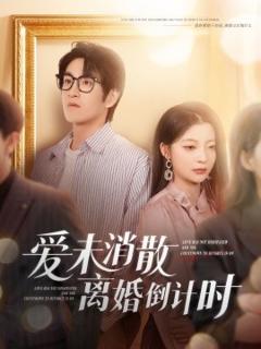 《爱未消散离婚倒计时》