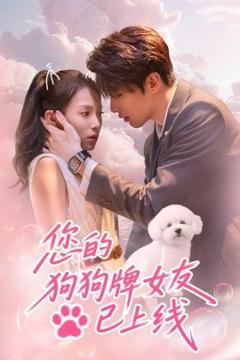 《您的狗狗牌女友已上线》
