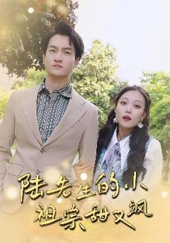 《陆先生的小祖宗甜又飒&落魄千金的逆袭恋曲》