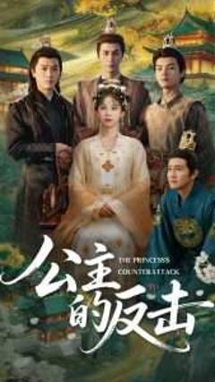 《公主的反击》