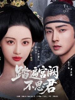 《踏遍宫阙不思君》
