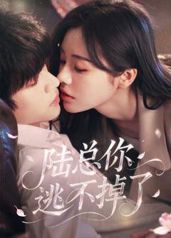 《陆总你逃不掉了＆爱意难逃》