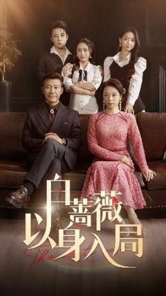 《白蔷薇以身入局》
