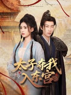 《太子夺我入东宫》