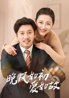 《晚风如初爱如故》