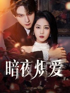 《暗夜炽爱》
