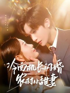 《冷面机长闪婚农村小甜妻》