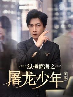 《纵横商海之屠龙少年第二季》