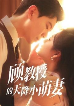 《顾教授的天降小萌妻》