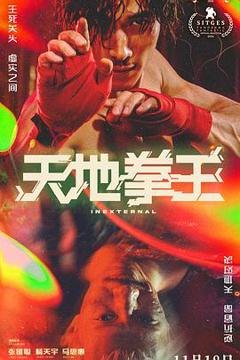 《天地拳王粤语》