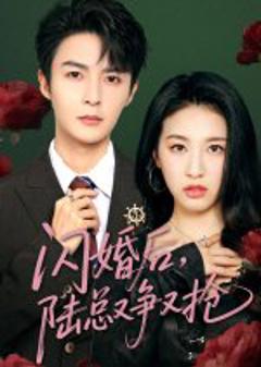 《闪婚后陆总又争又抢》
