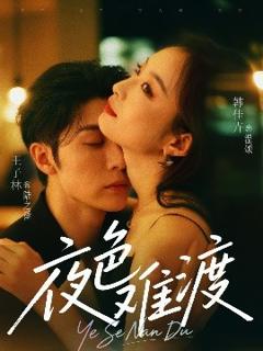 《夜色难渡 》