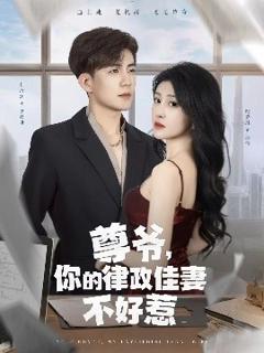 《尊爷，你的律政娇妻不好惹 》