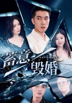 《蓄意毁婚》