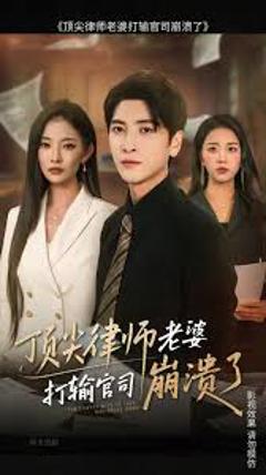《顶尖律师老婆打输官司崩溃了》