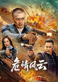 《危情风云2025》