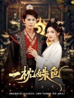 《一枕姝色》