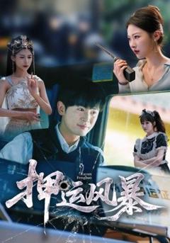 《押运风暴》