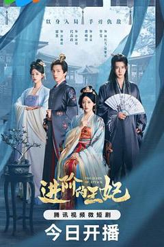 《进阶的王妃》