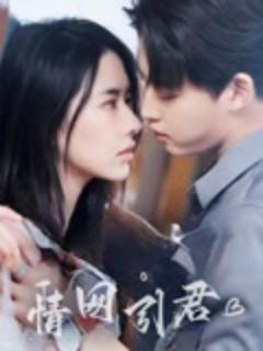 《情网引君》