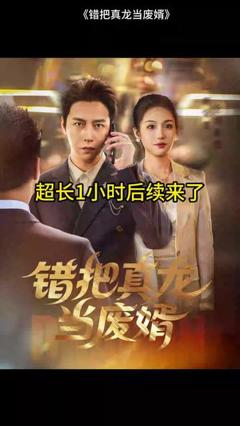 《错把真龙当赘婿》