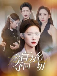 《以盲为名夺回一切》