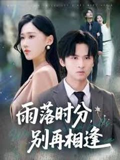 《雨落时分别再相逢》