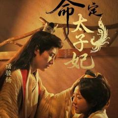 《命定太子妃》