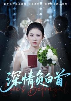 《深情负白首》